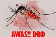 DKI Jakarta Government Takes Action to Address Rising Cases of Dengue Hemorrhagic Fever (DHF)